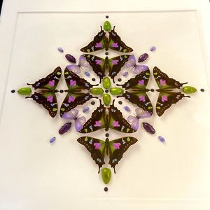 Christopher Marley print called Primavera Prism. Size 12 X 12 1/2. Print design